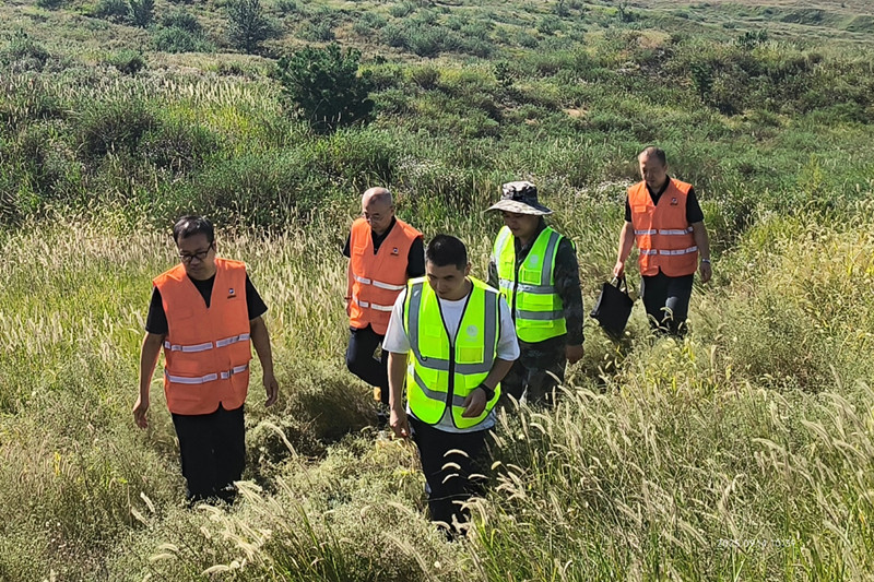 151757929223183151.jpeg 2.jpg